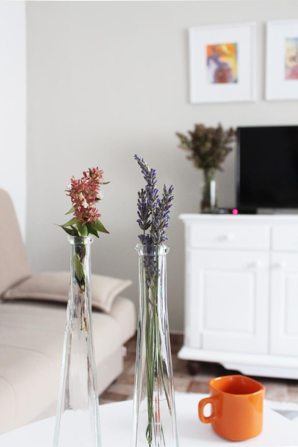 TV and multimedia, Living room, Decorative detail