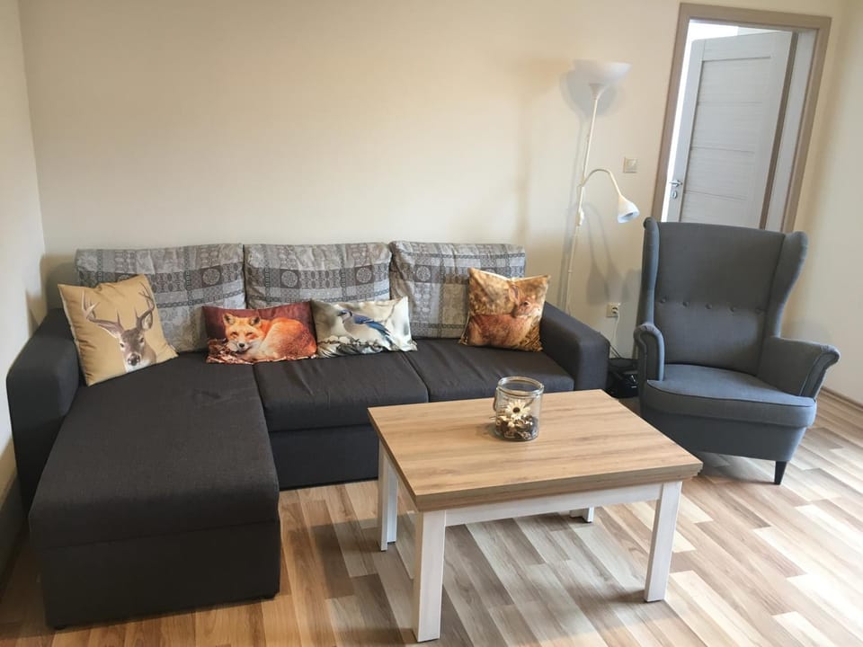 Living room, Photo of the whole room