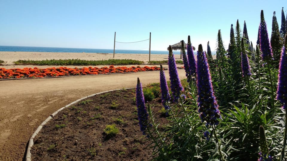 Natural landscape, Garden view, Sea view