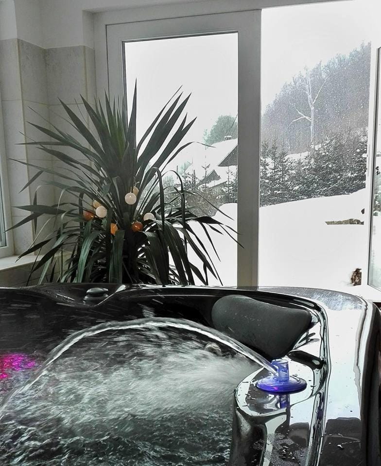 Hot Tub, Sauna