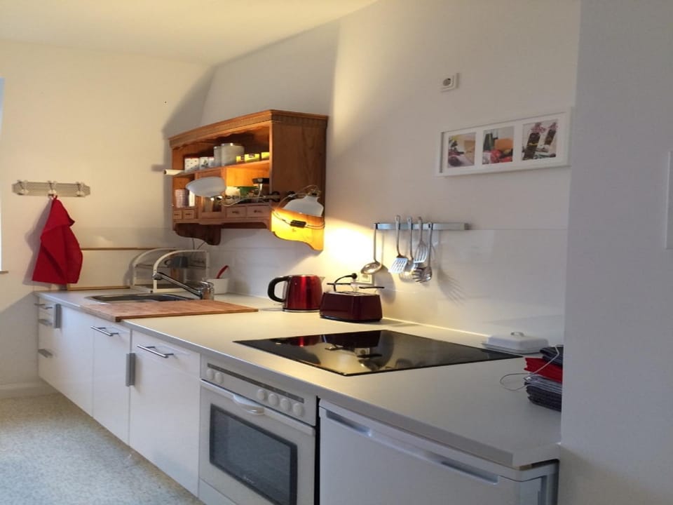 Kitchen or kitchenette, Photo of the whole room, Decorative detail