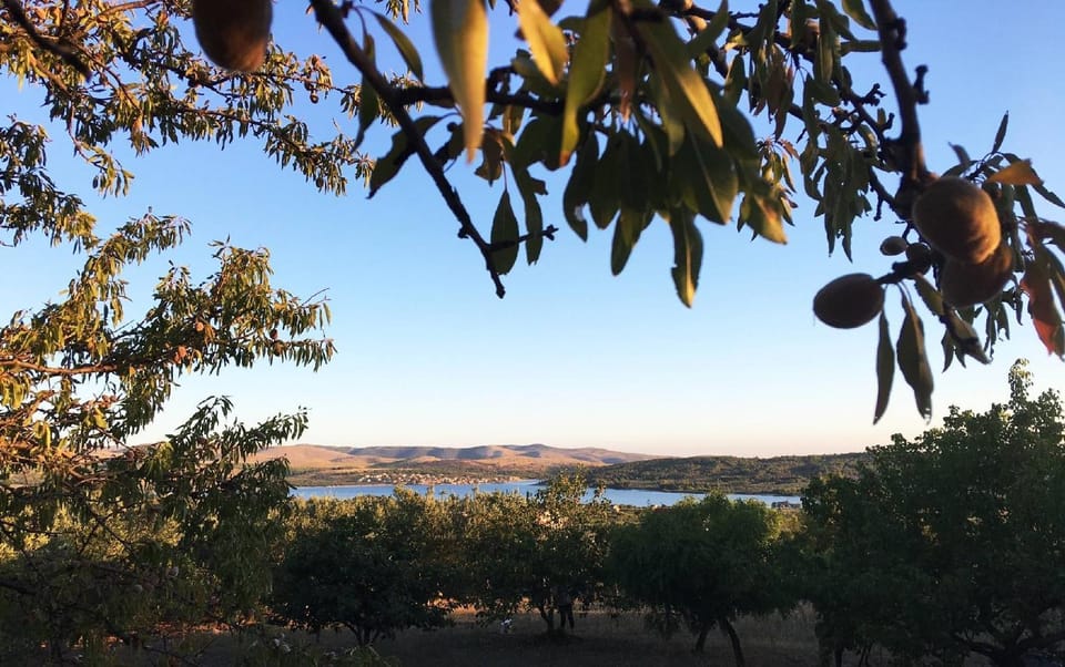 Nearby landmark, Natural landscape, Garden, Garden