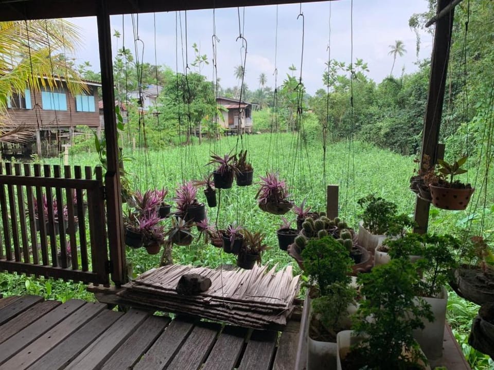 Garden, Garden view