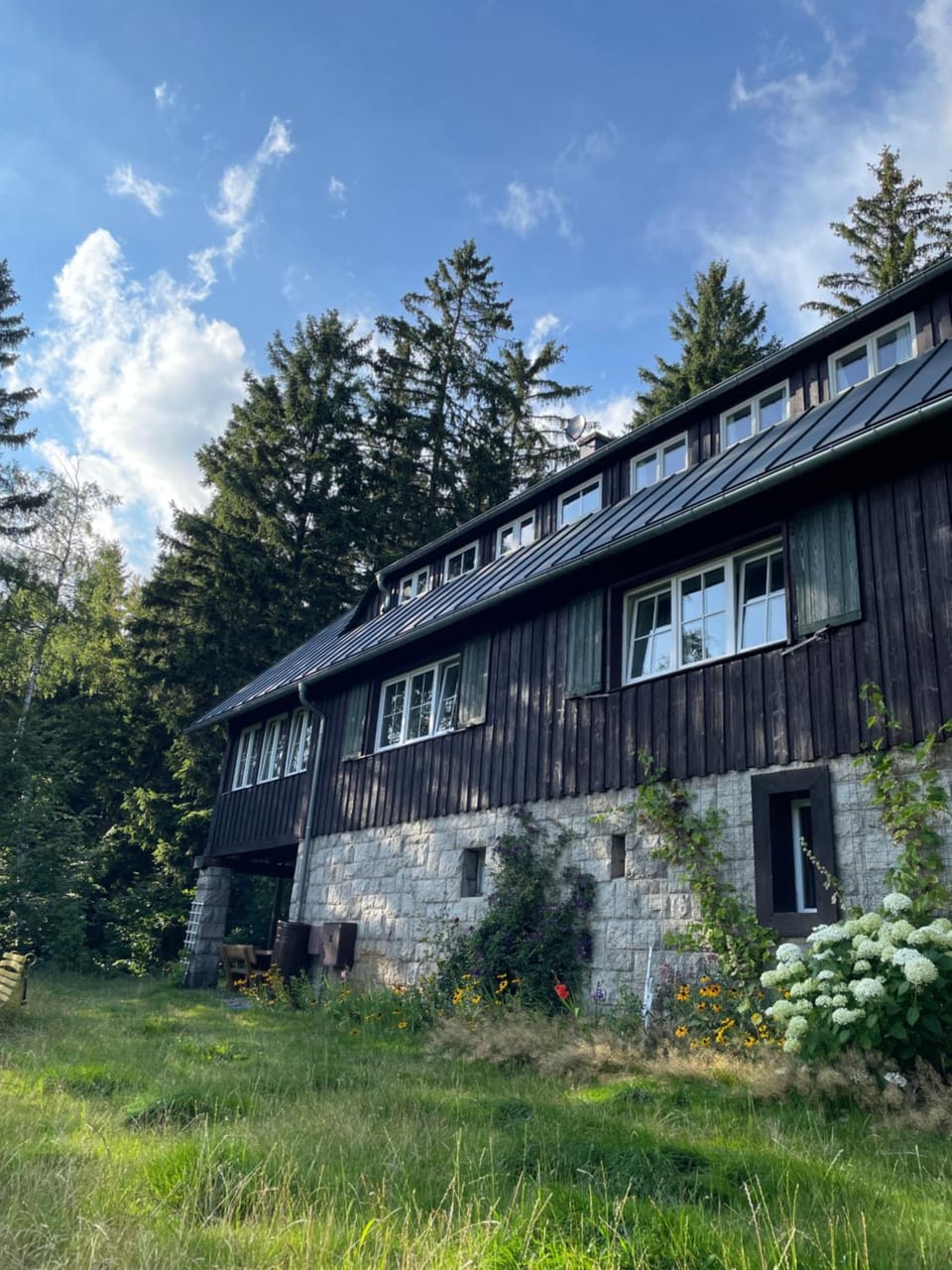 Property building, Garden, Garden view