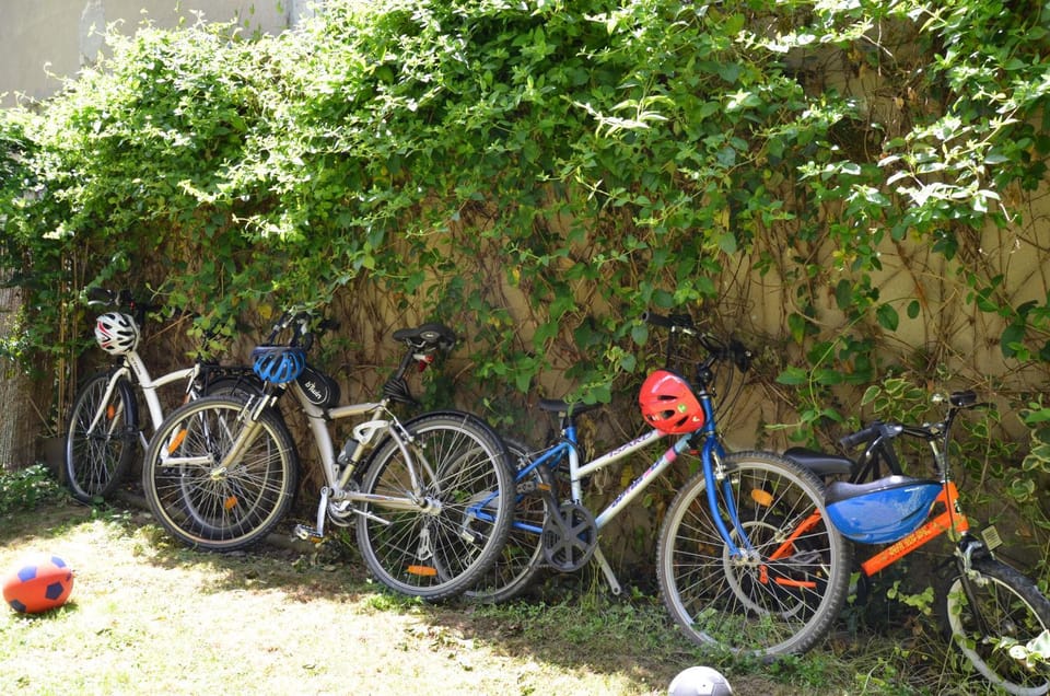 Instant-Léman Apartment in Thonon-les-Bains
