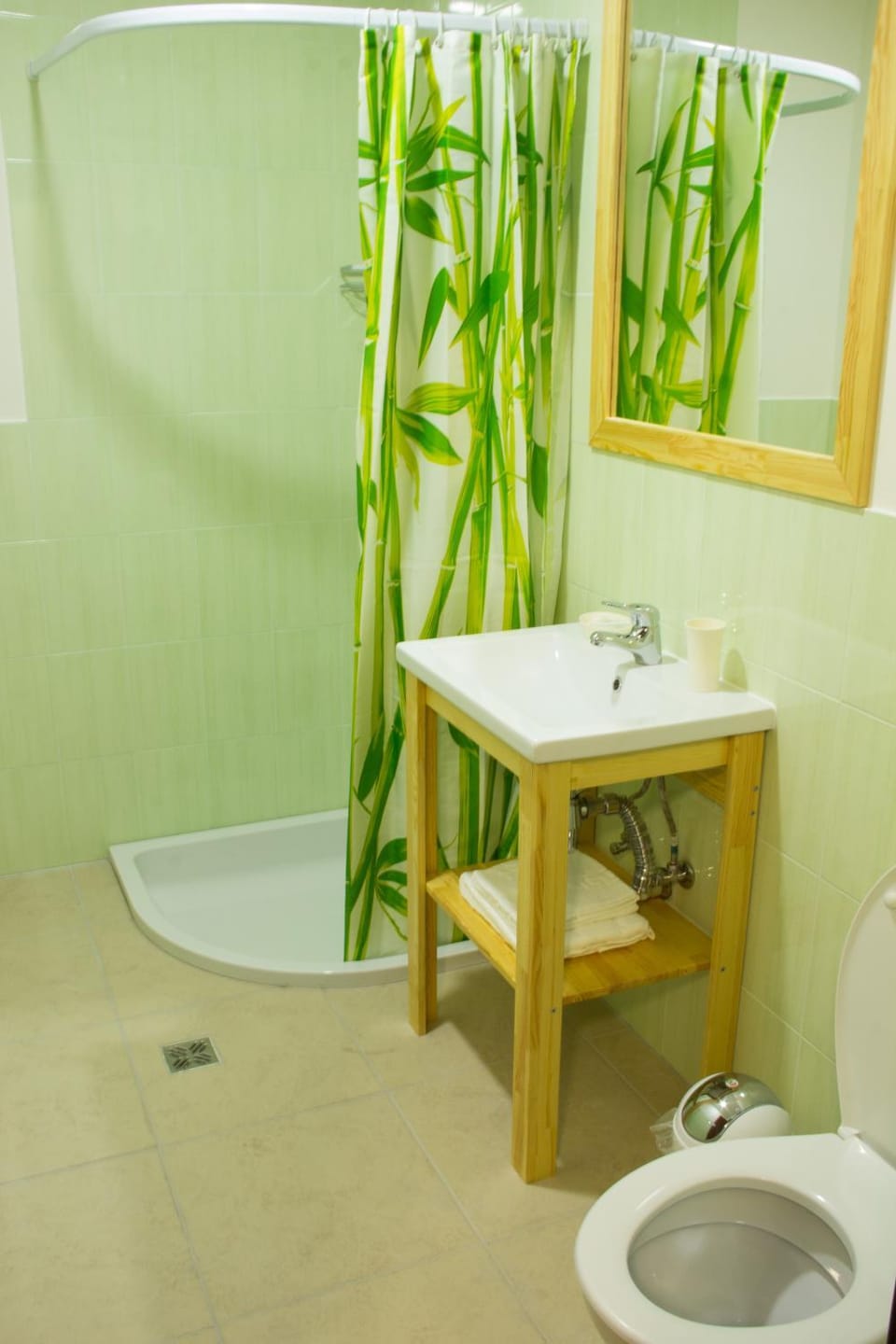 Shower, Toilet, Bathroom, bidet