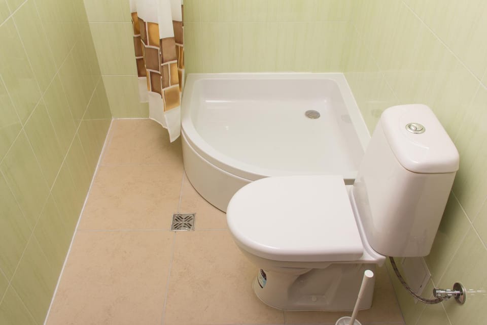 Toilet, Bathroom, Bath