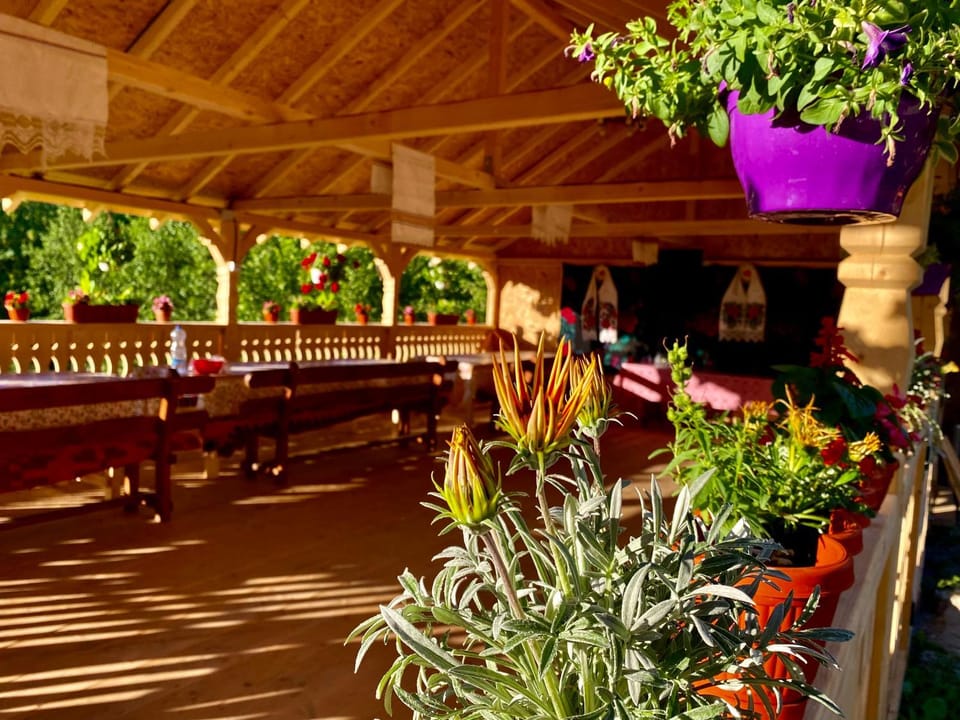 Floare de Maramures 2 Nature lodge in Romania