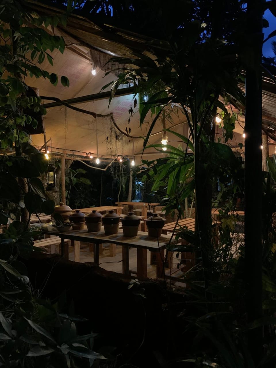 Restaurant/places to eat, Restaurant/places to eat, Night, Garden, Dining area, Garden view