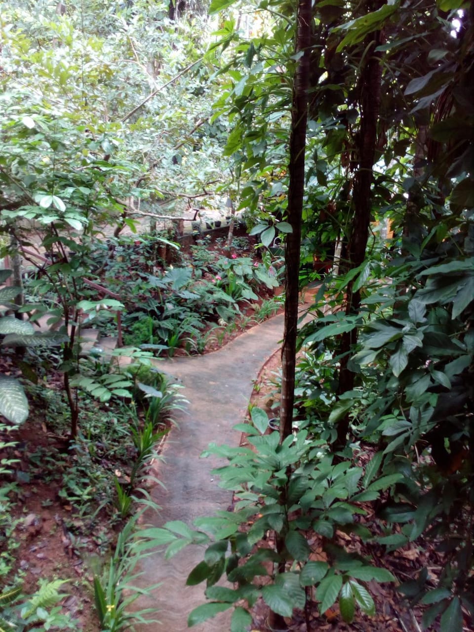 river edge bungalow Bed and Breakfast in Central Province