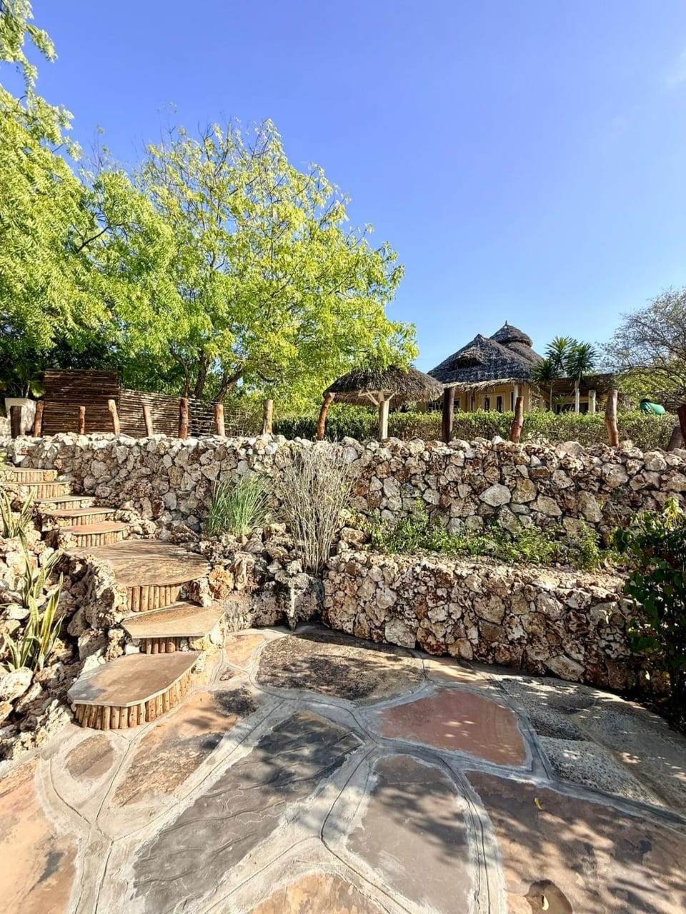 Day, Balcony/Terrace, Garden view
