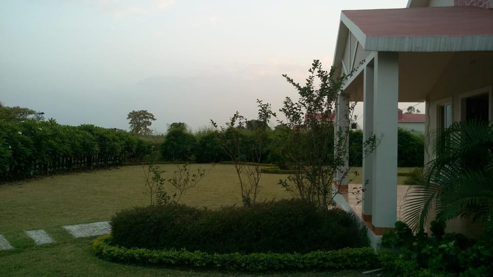 Garden view