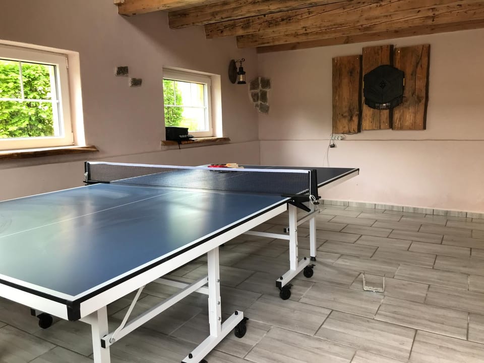 Darts