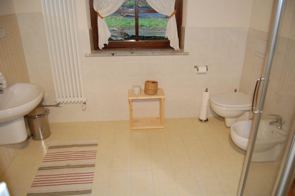 Shower, Toilet, Bathroom, bidet