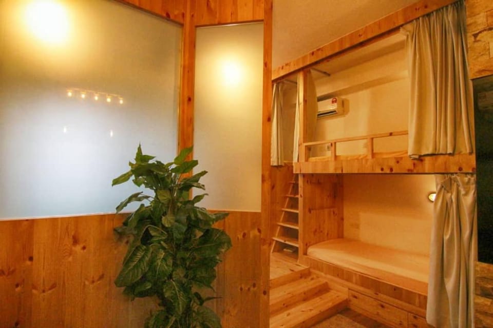 Communal lounge/ TV room, bunk bed