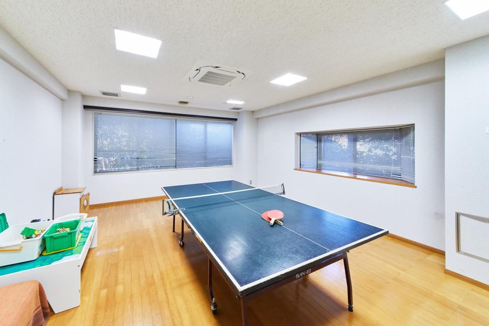 Table tennis, Area and facilities