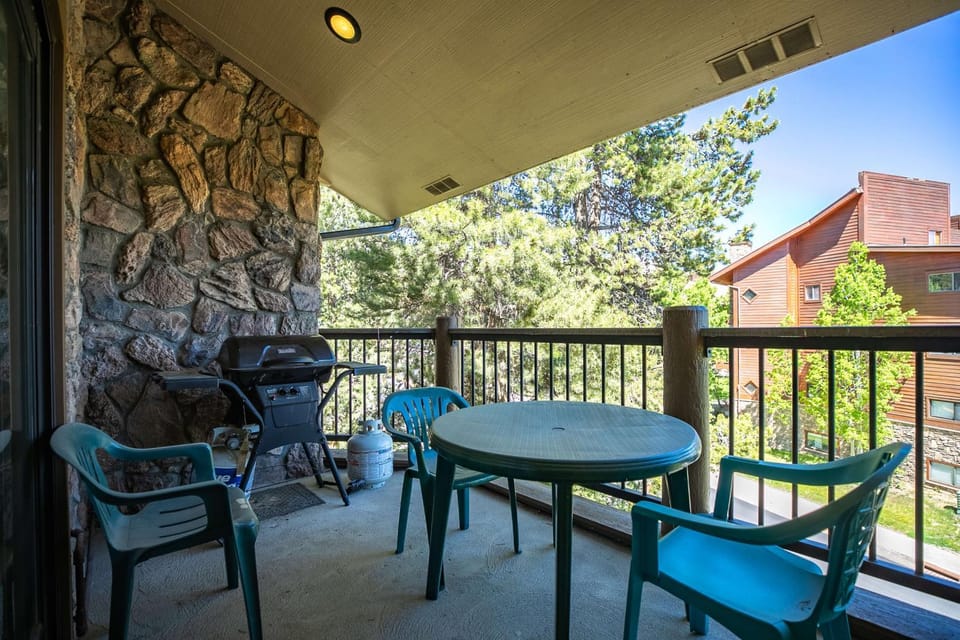 Park Place Mount Blue Sky Condo: Great Ski-In Location Apartment in Breckenridge