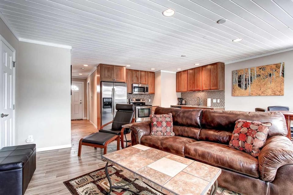 Panorama Alpine Condo: Hip Downtown Location Apartment in Breckenridge