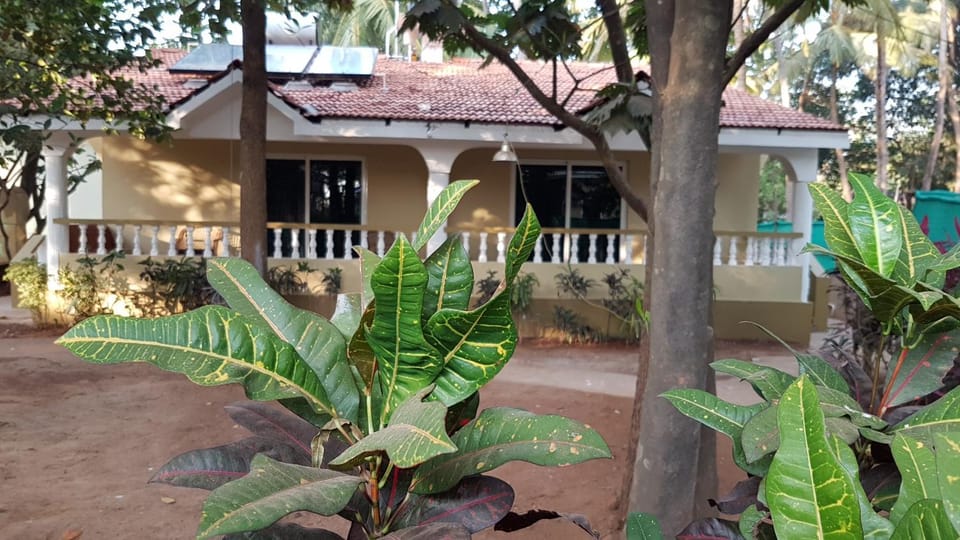 Garden view