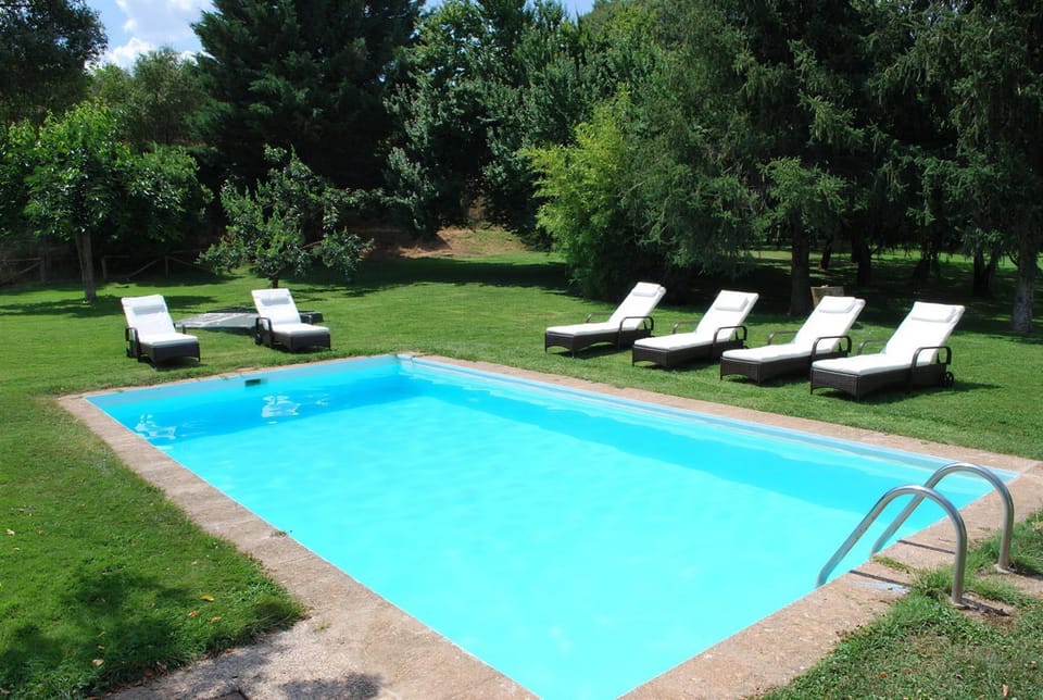 Garden, Swimming pool, sunbed