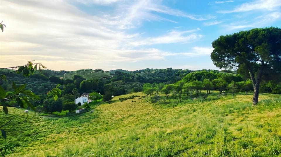 Natural landscape