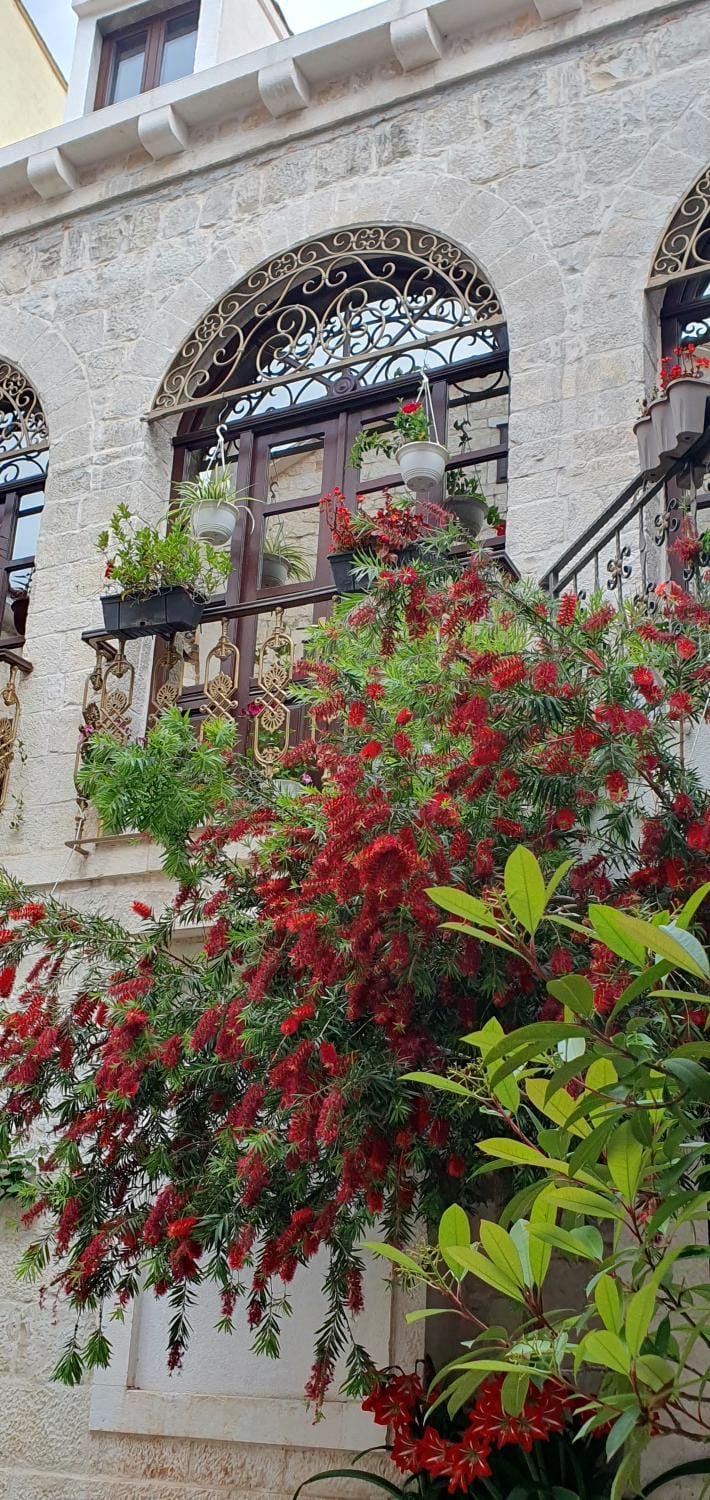 Garden view