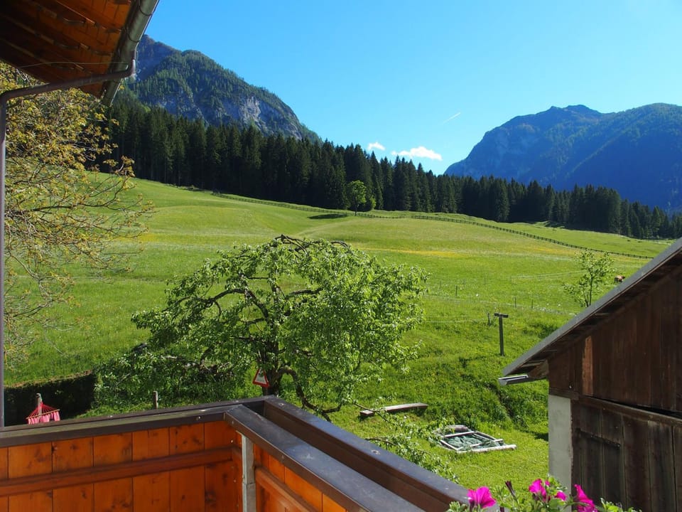 Natural landscape, Garden view, Mountain view