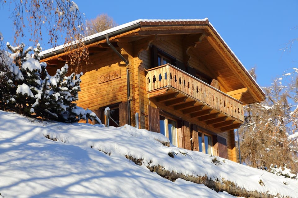 Bird's eye view, Winter