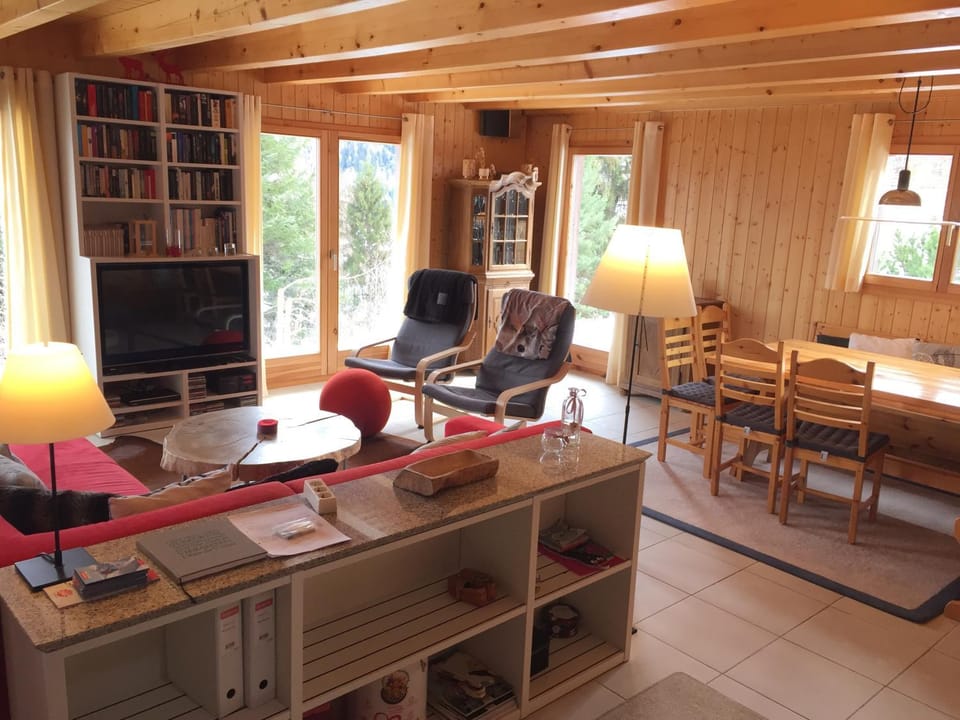 Library, TV and multimedia, Living room, Seating area, Dining area