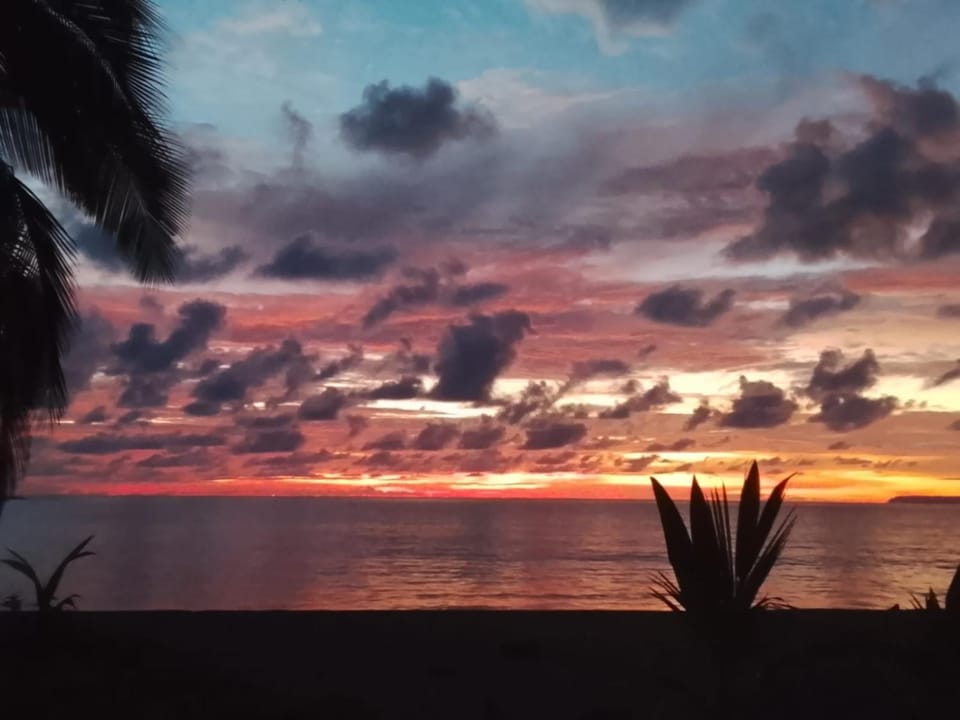 Life for Life Hostel Lodge Drake Bay Home of Sea Turtle Marine Conservation Project Osa Peninsula near San Josecito Beach Hostel in Puntarenas Province