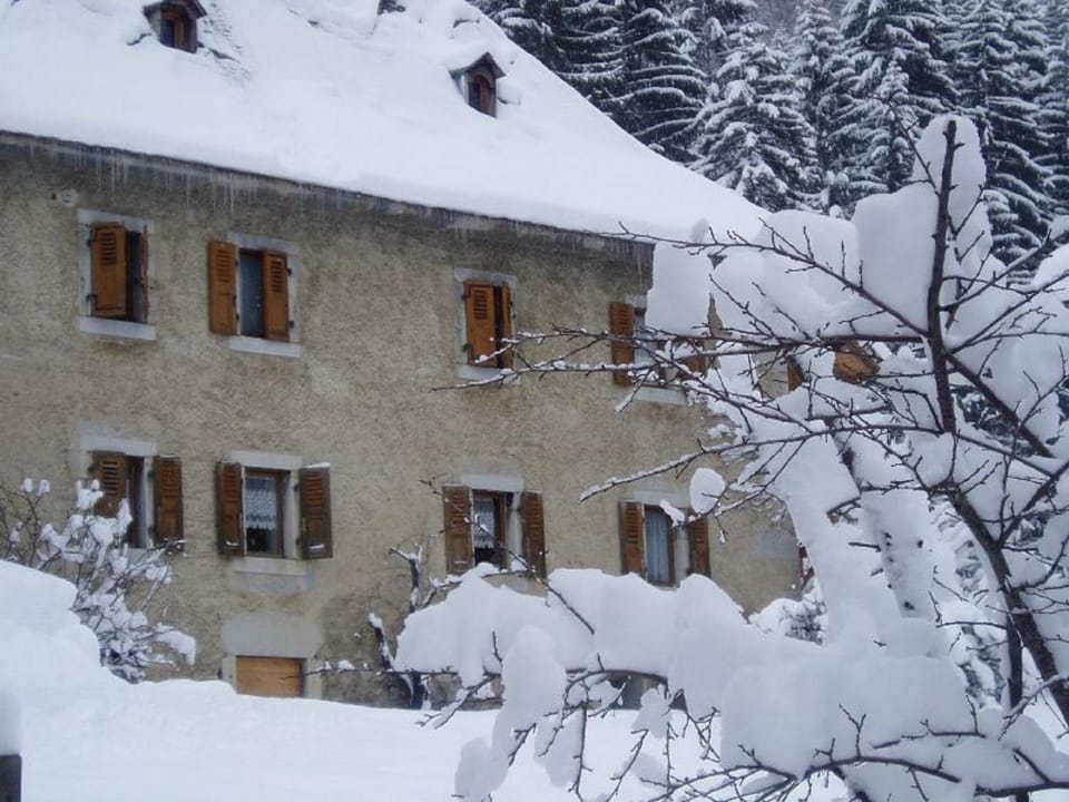 Winter