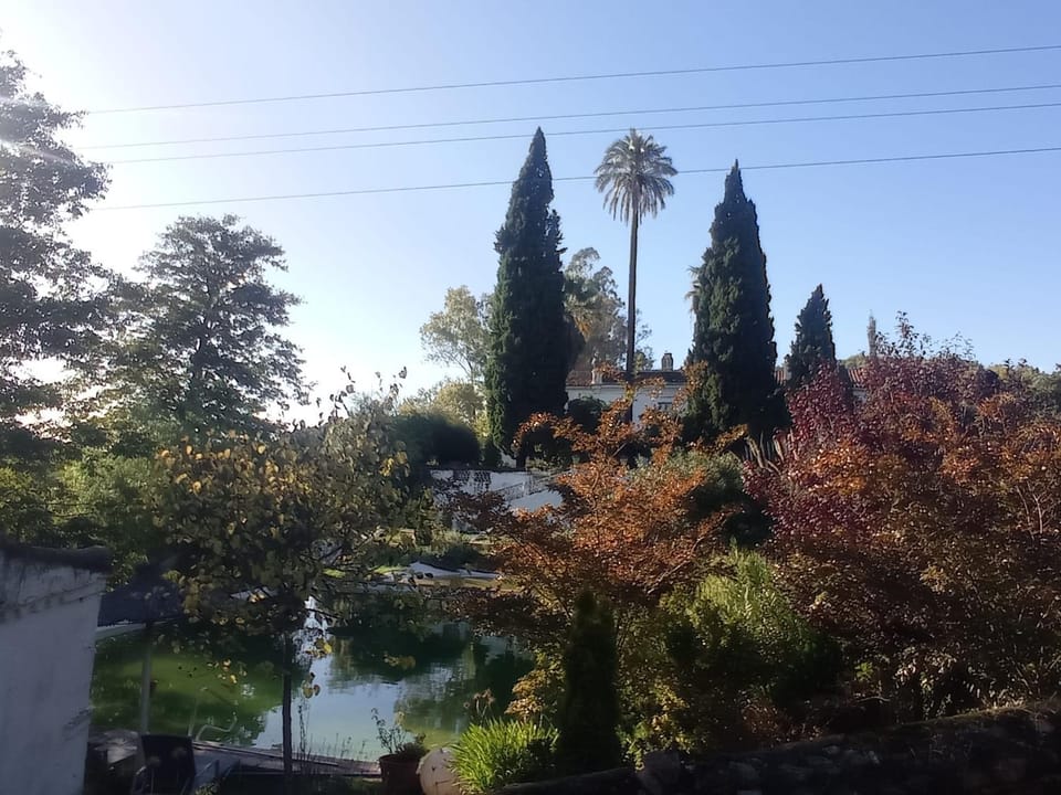 Finca La Favorita- Suites Country House in Sierra Norte de Sevilla