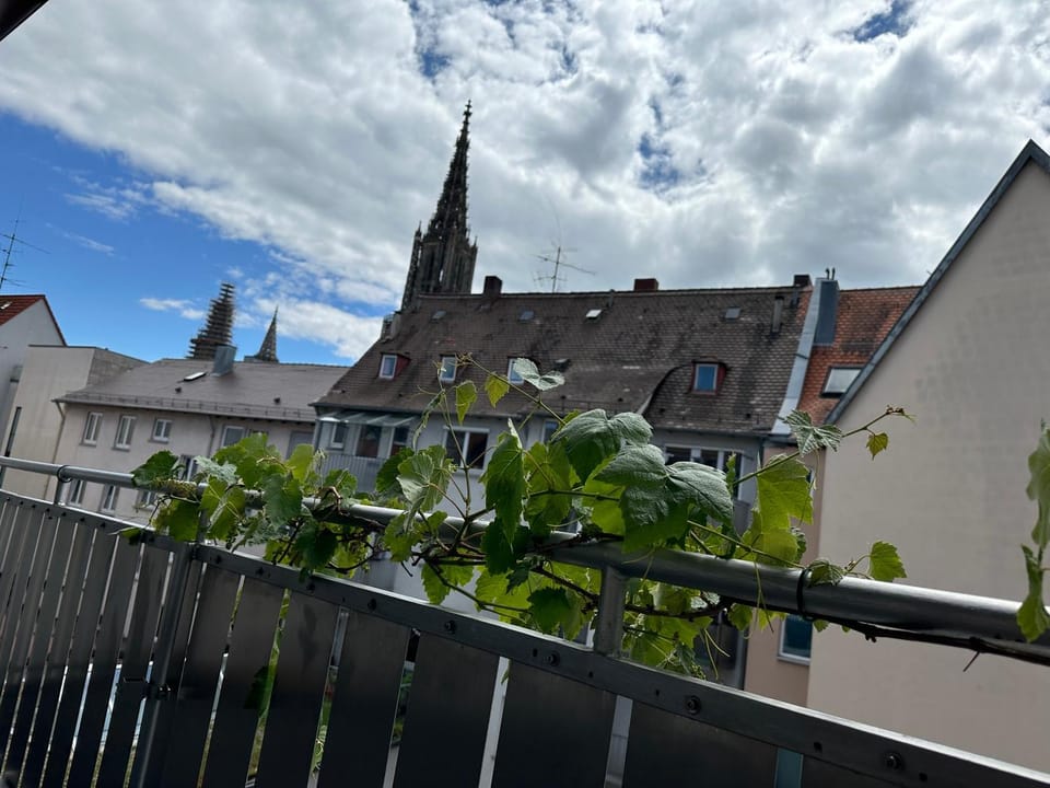 View (from property/room), Balcony/Terrace