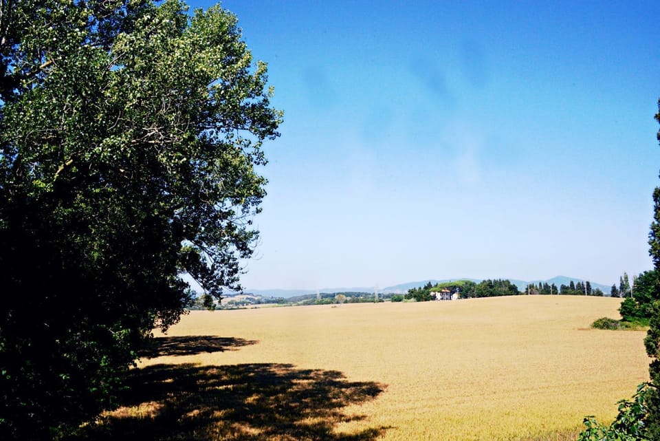 Natural landscape