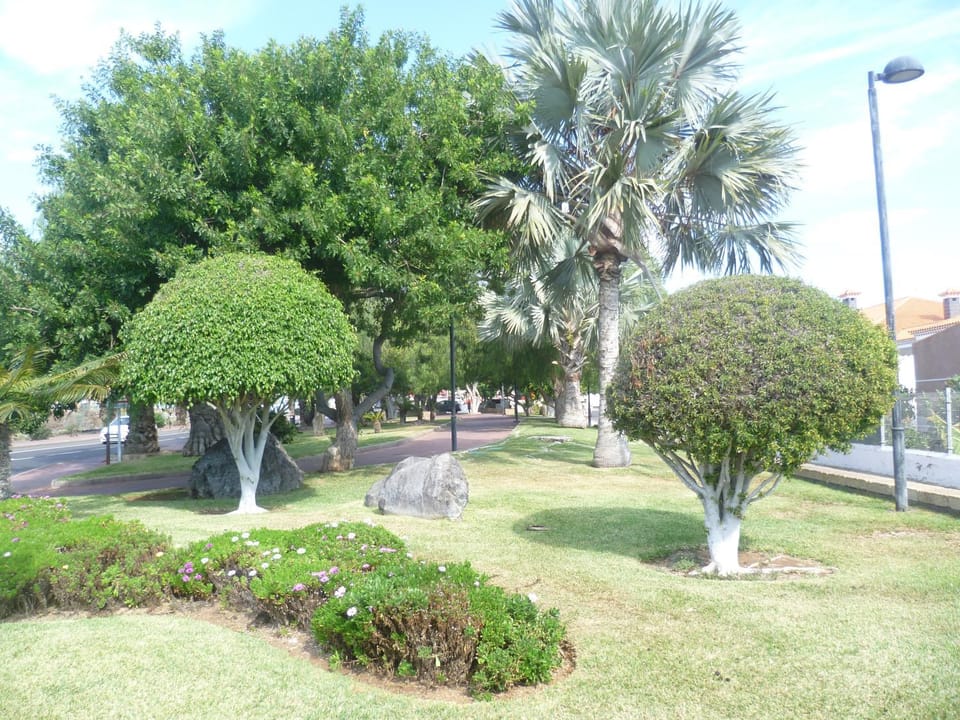 Nearby landmark