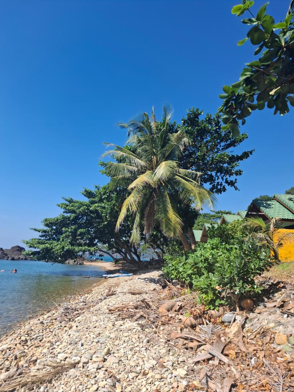 Paradise Palms Resort in Ko Chang
