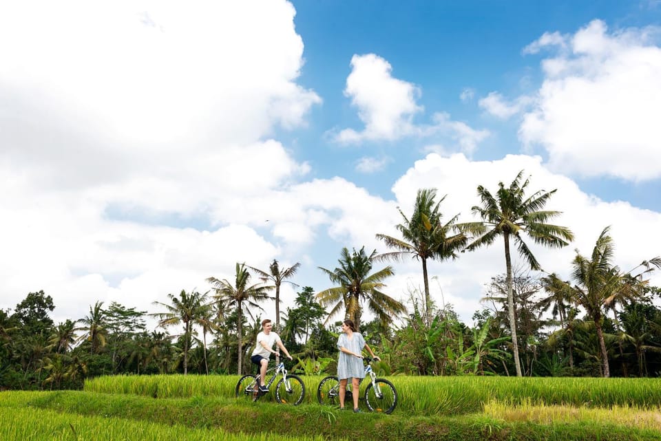 Off site, Neighbourhood, Cycling