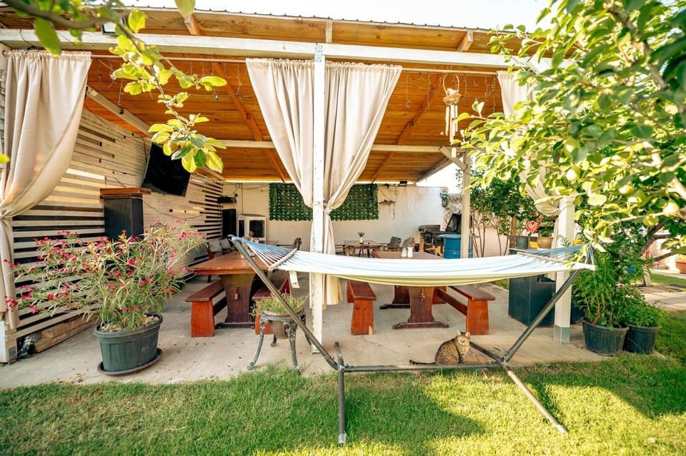 Garden view