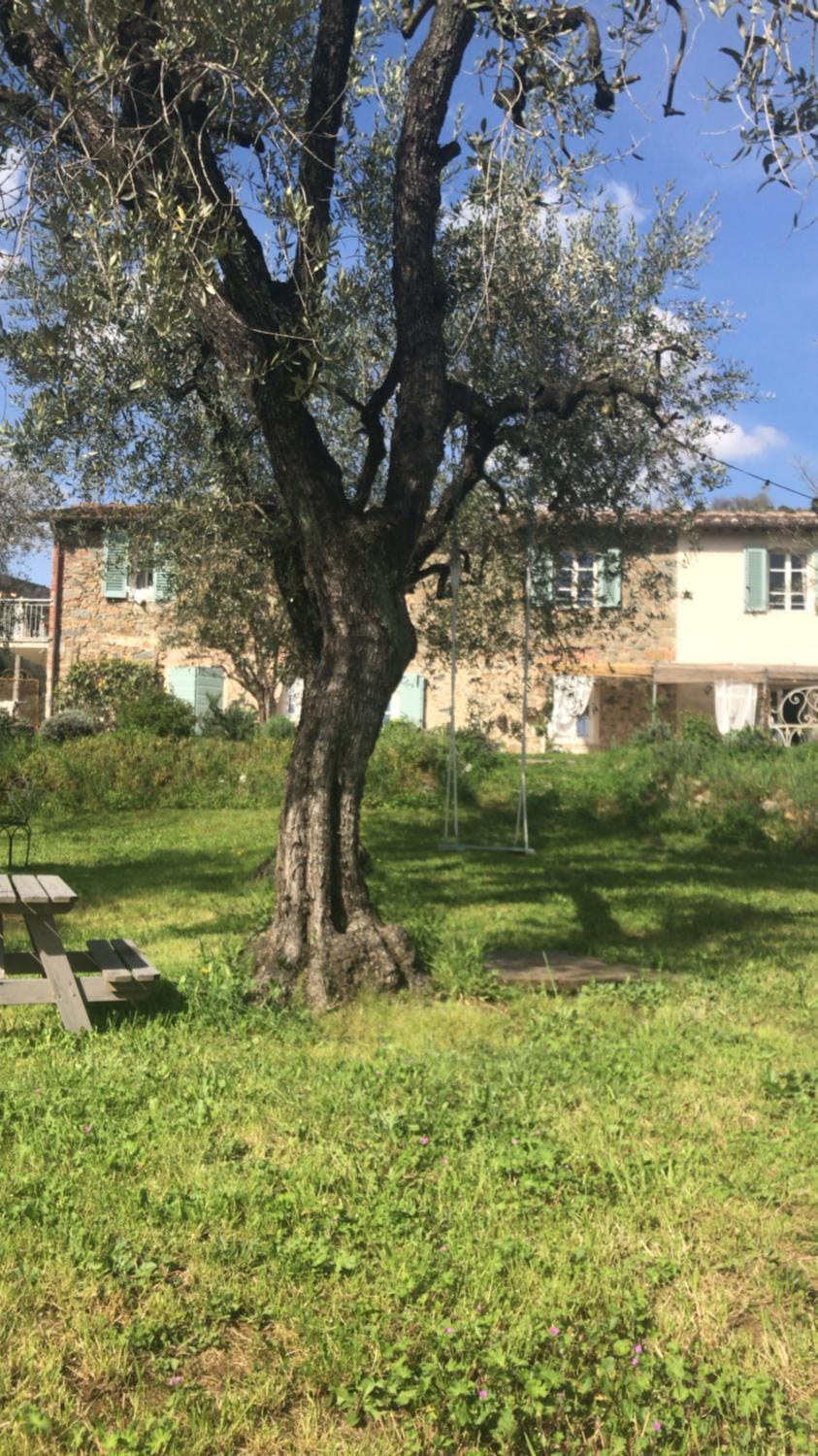 Property building, Facade/entrance, Natural landscape, Summer, Garden, On site