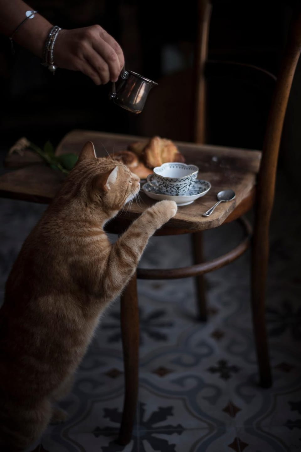 Communal lounge/ TV room, Communal kitchen, Pets, Alcoholic drinks