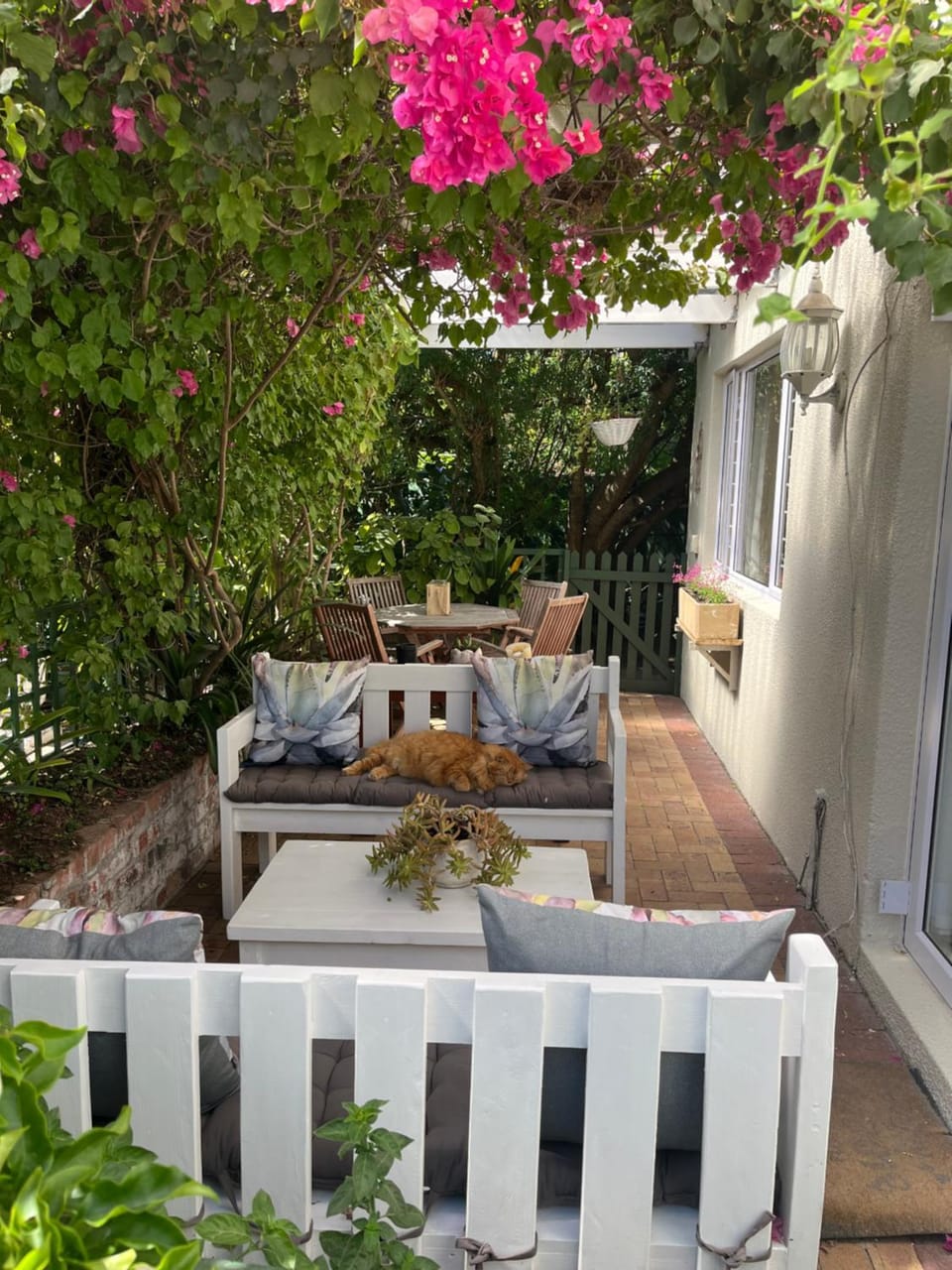 Patio, Garden view