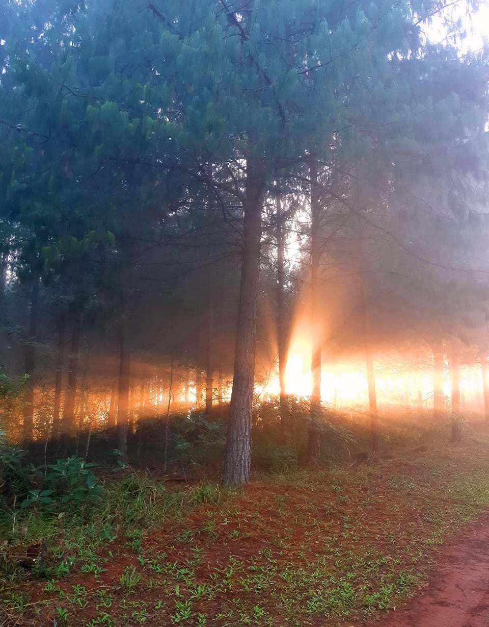 Natural landscape, Hiking, Sunrise