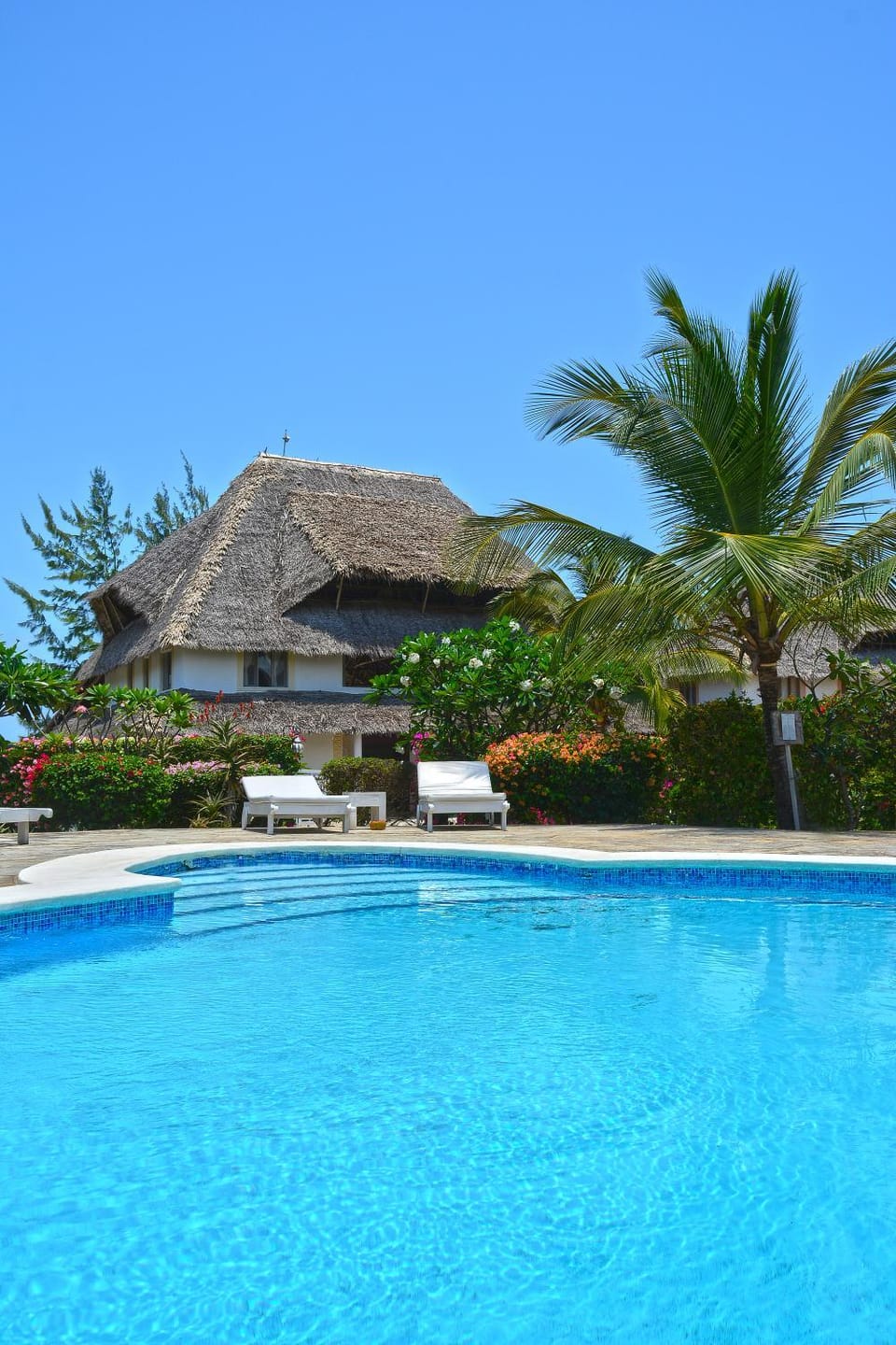 Pool view, Swimming pool