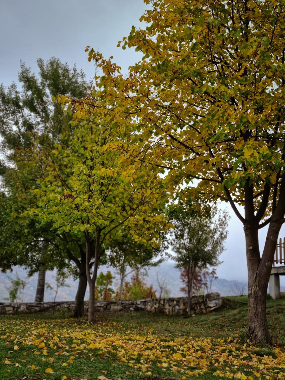 Natural landscape, Garden