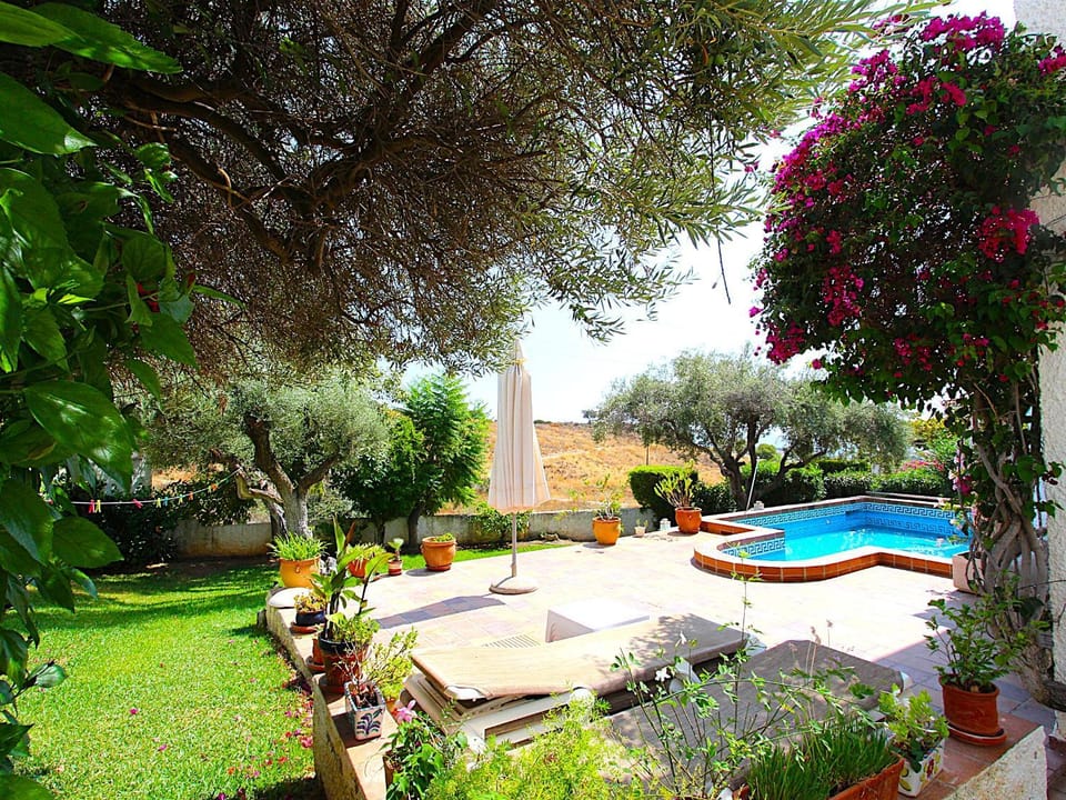 Patio, Day, Garden, Garden view, Pool view, Swimming pool, sunbed