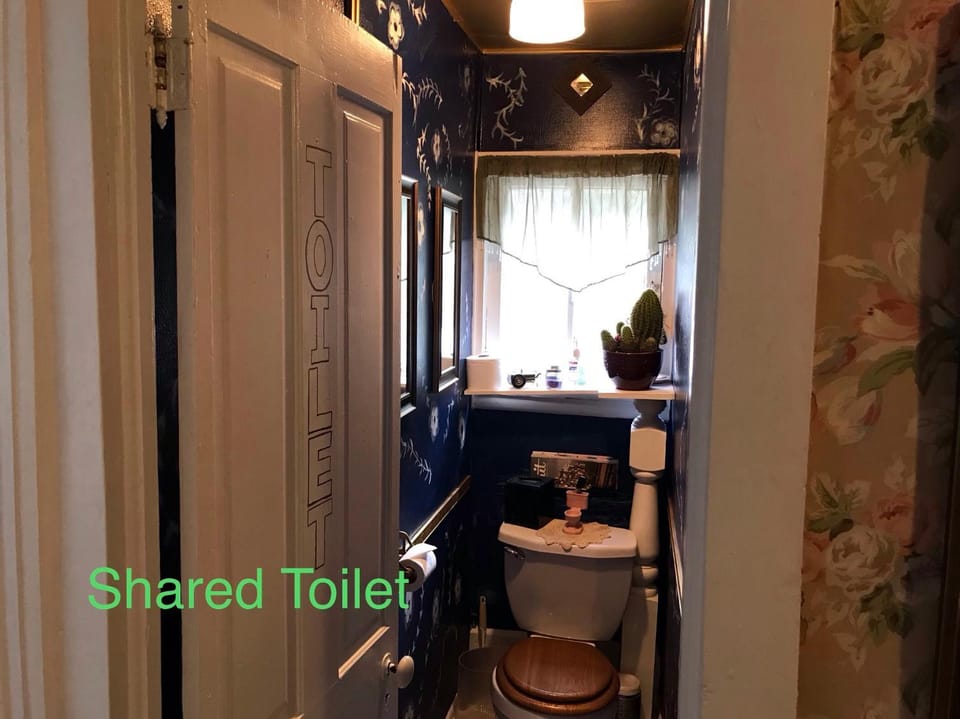Historic Windsor Bed and Breakfast in Silver Plume