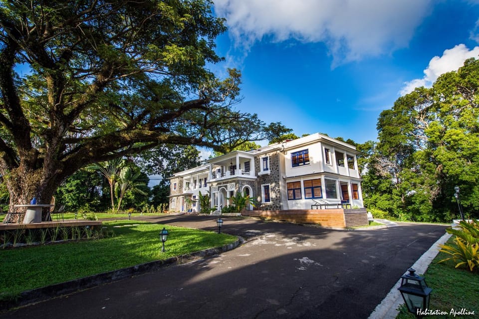 Property building, Facade/entrance, Garden