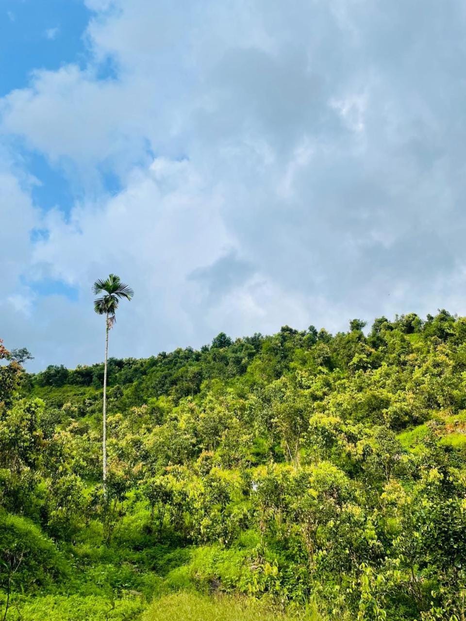 Gallene Gala Nature Resort Resort in Sri Lanka
