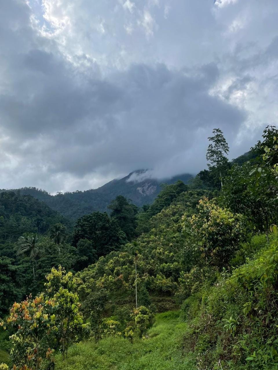 Gallene Gala Nature Resort Resort in Sri Lanka