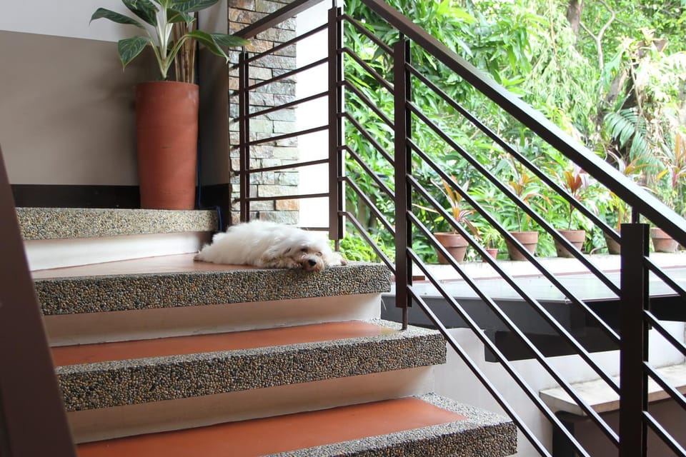 New Manila Suites Bed and Breakfast in Manila City